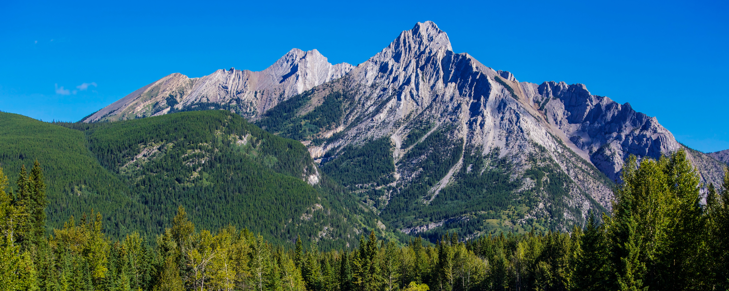 Featured image for “Key Pieces Missing from Environmental and Protected Areas, and Forestry and Parks Ministry Letters”