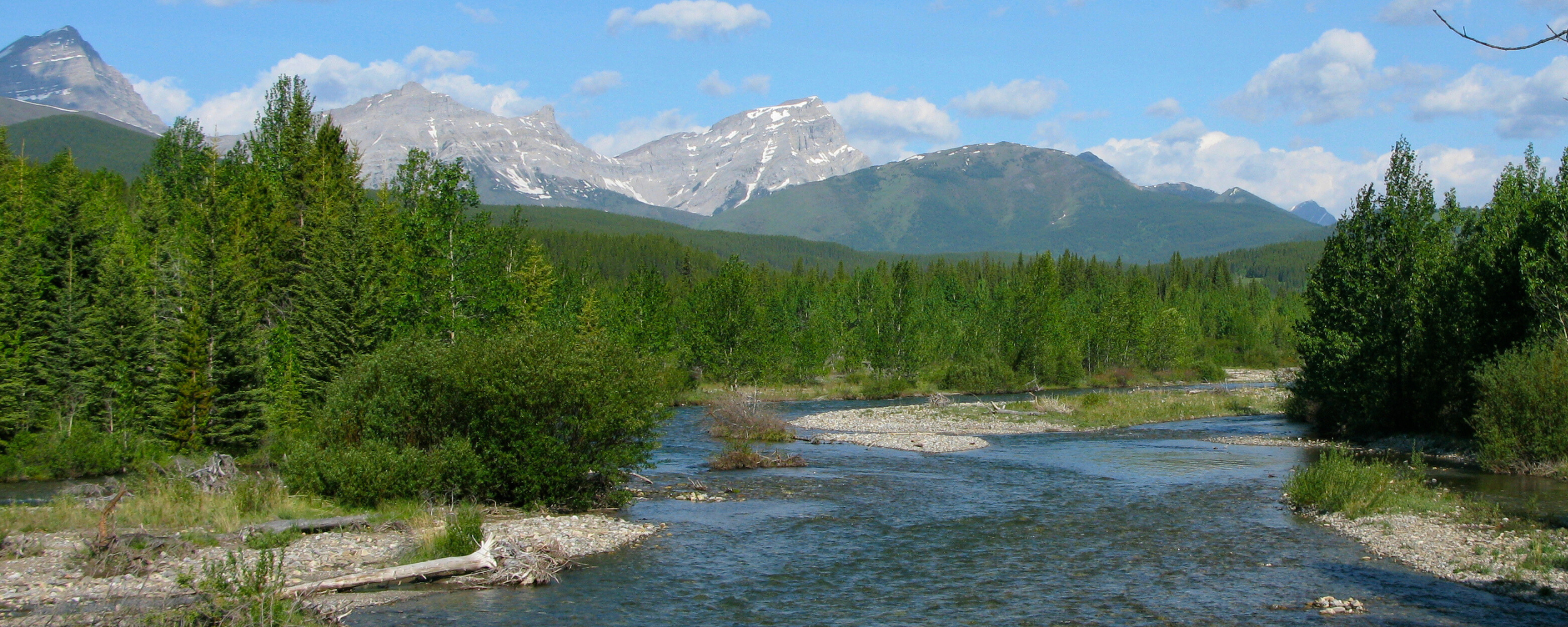 Featured image for “Highwood Logging Slated for 2025/2026”