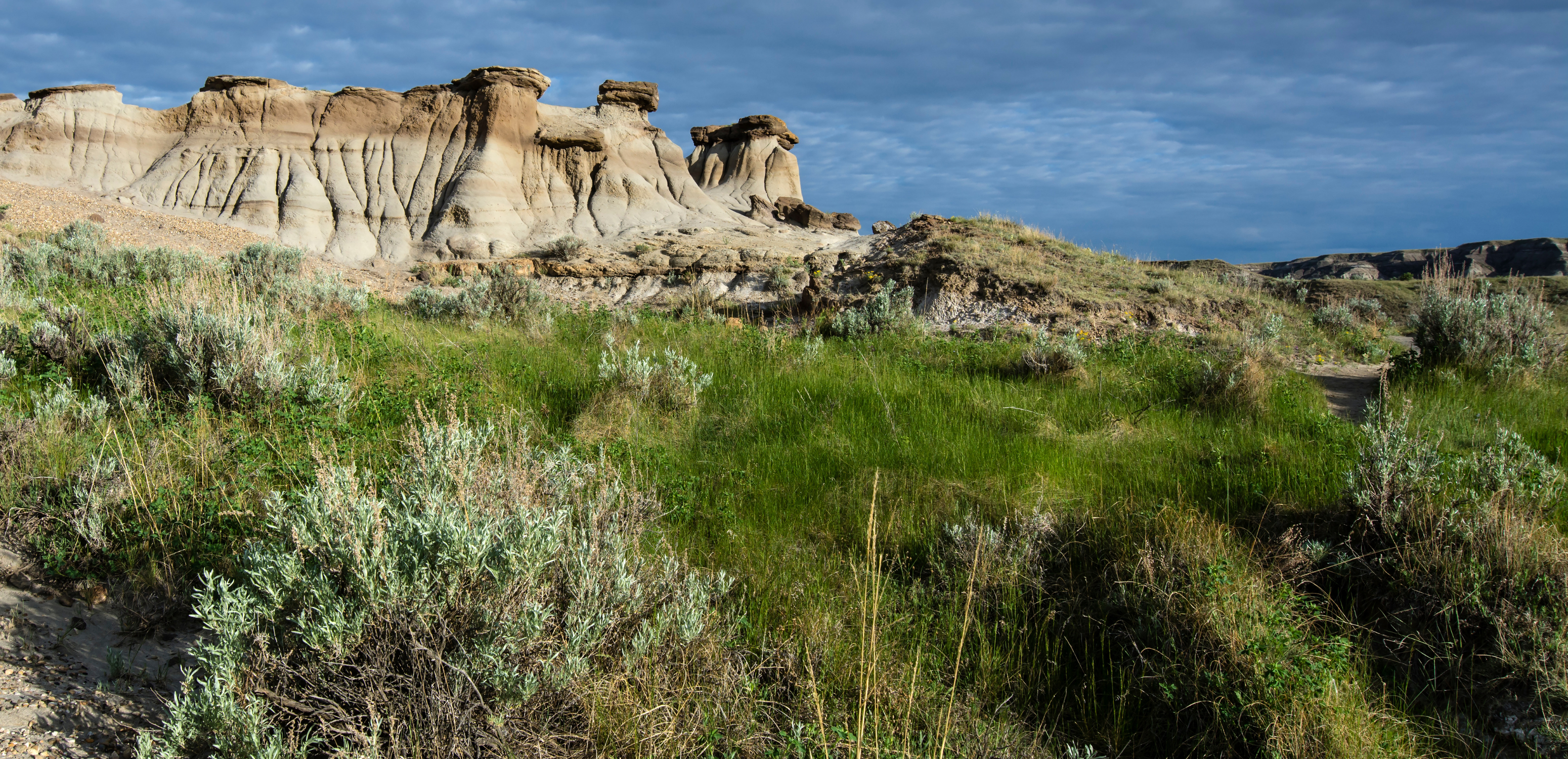 Featured image for “Province releases survey on the development of a new strategic vision for recreation and conservation in Alberta’s provincial parks ”